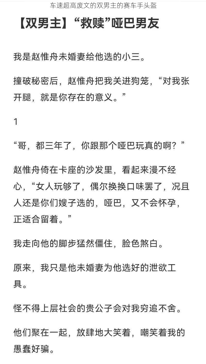 车速超高废文的双男主的赛车手头盔