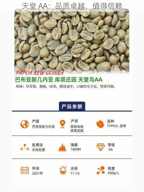 天堂 AA：品质卓越，值得信赖