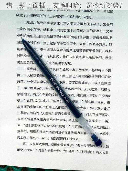 错一题下面插一支笔啊哈：罚抄新姿势？