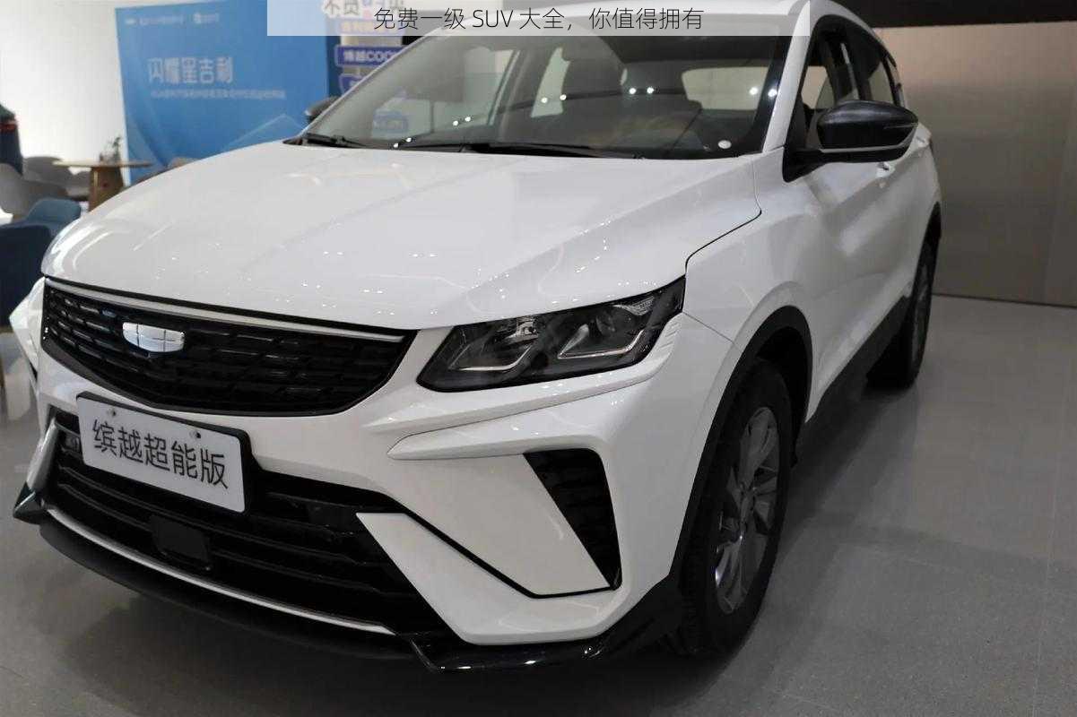 免费一级 SUV 大全，你值得拥有