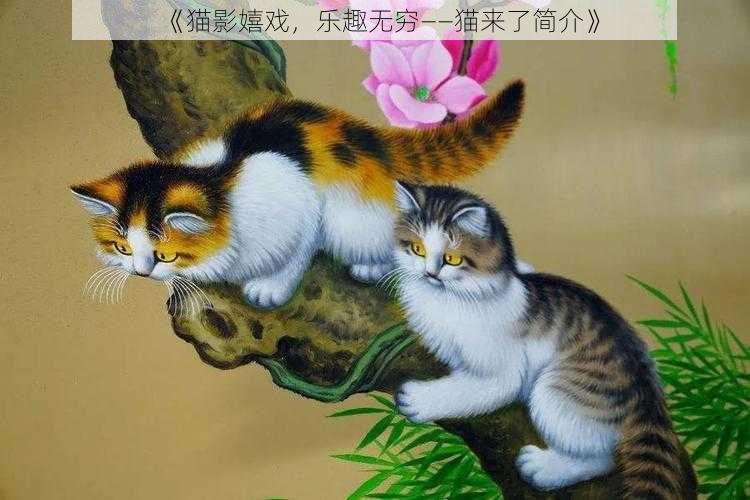 《猫影嬉戏，乐趣无穷——猫来了简介》