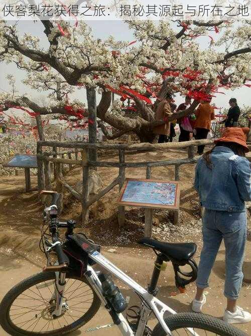 侠客梨花获得之旅：揭秘其源起与所在之地