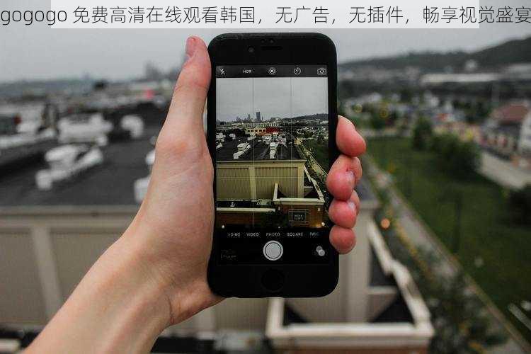 gogogo 免费高清在线观看韩国，无广告，无插件，畅享视觉盛宴