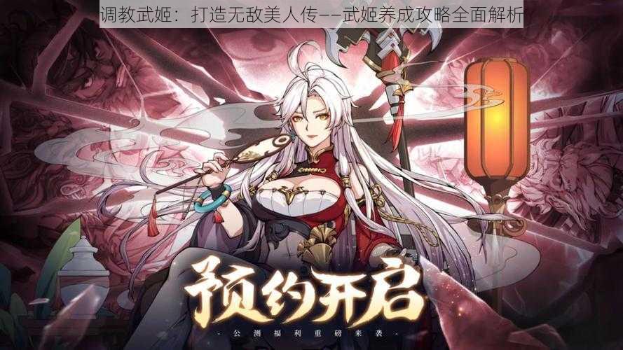 调教武姬：打造无敌美人传——武姬养成攻略全面解析