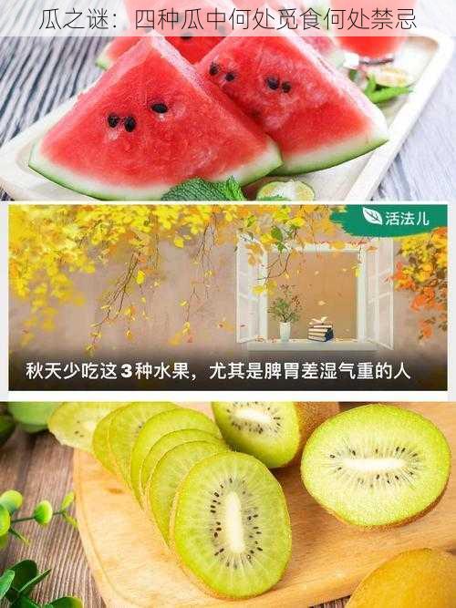 瓜之谜：四种瓜中何处觅食何处禁忌