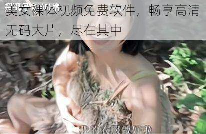 美女裸体视频免费软件，畅享高清无码大片，尽在其中