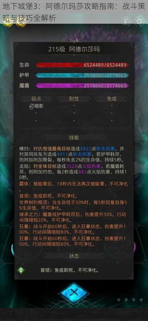 地下城堡3：阿德尔玛莎攻略指南：战斗策略与技巧全解析