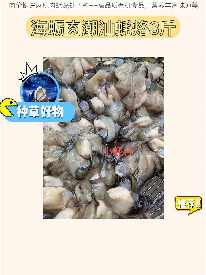 肉伦挺进麻麻肉蚝深处下种——高品质有机食品，营养丰富味道美