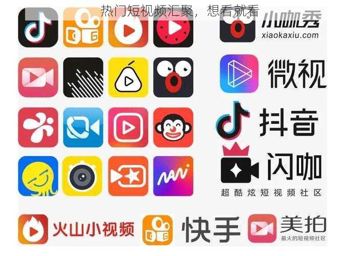 热门短视频汇聚，想看就看