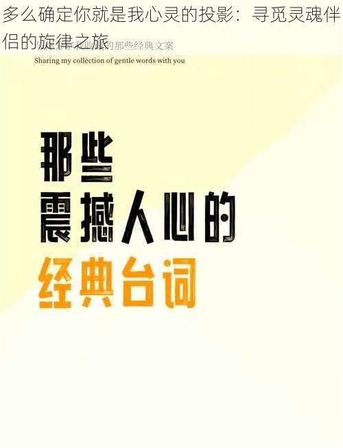 多么确定你就是我心灵的投影：寻觅灵魂伴侣的旋律之旅