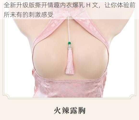 全新升级版撕开情趣内衣爆乳 H 文，让你体验前所未有的刺激感受