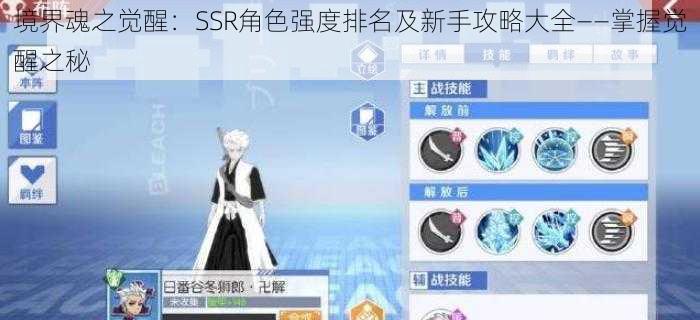 境界魂之觉醒：SSR角色强度排名及新手攻略大全——掌握觉醒之秘