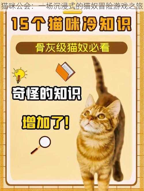 猫咪公会：一场沉浸式的猫奴冒险游戏之旅