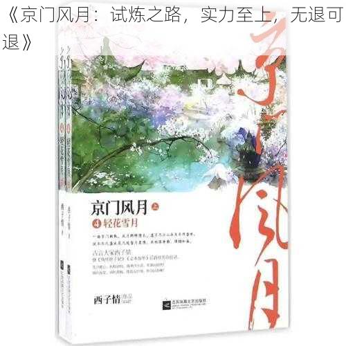 《京门风月：试炼之路，实力至上，无退可退》