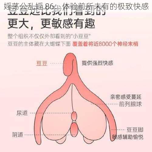 婬荡公乱婬 86：体验前所未有的极致快感