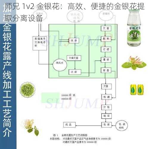 师兄 1v2 金银花：高效、便捷的金银花提取分离设备