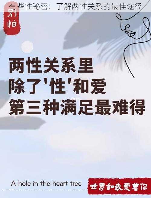 有些性秘密：了解两性关系的最佳途径