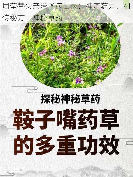 周莹替父亲治怪病目录：神奇药丸、祖传秘方、神秘草药