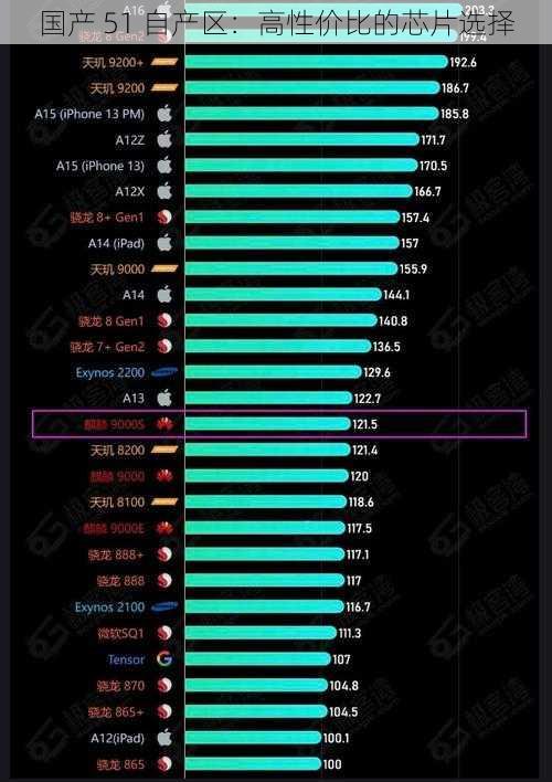 国产 51 自产区：高性价比的芯片选择