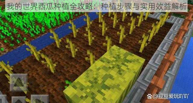 我的世界西瓜种植全攻略：种植步骤与实用效益解析