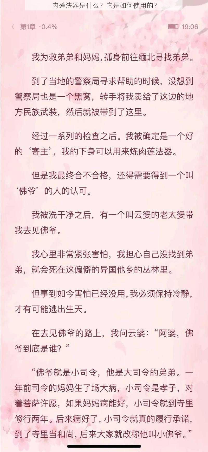 肉莲法器是什么？它是如何使用的？