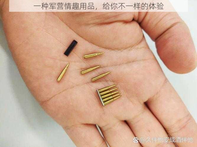 一种军营情趣用品，给你不一样的体验