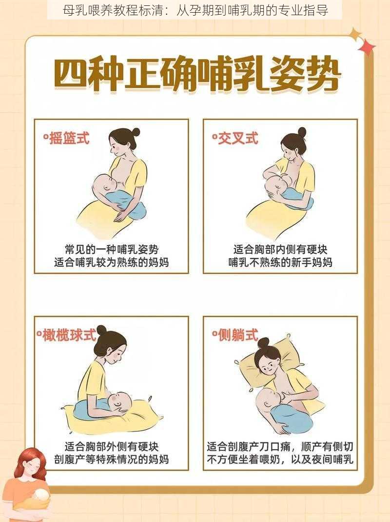 母乳喂养教程标清：从孕期到哺乳期的专业指导