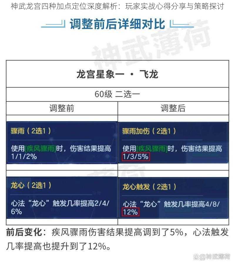 神武龙宫四种加点定位深度解析：玩家实战心得分享与策略探讨