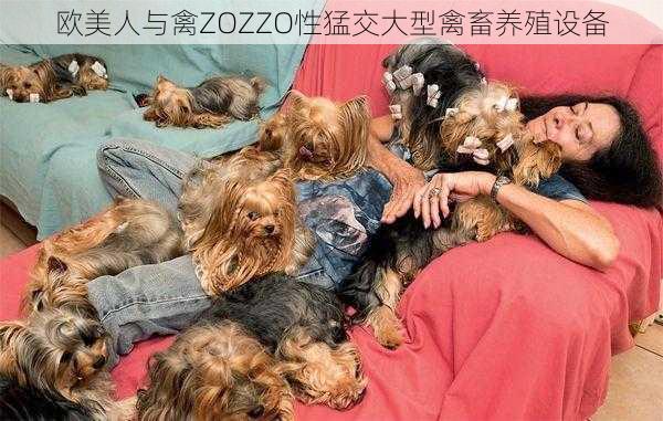 欧美人与禽ZOZZO性猛交大型禽畜养殖设备