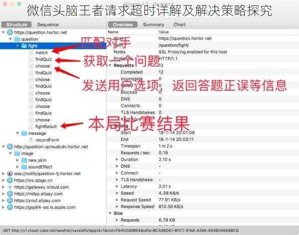 微信头脑王者请求超时详解及解决策略探究