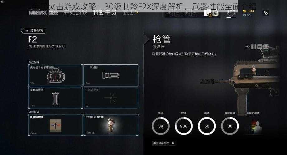 全民突击游戏攻略：30级刺羚F2X深度解析，武器性能全面介绍