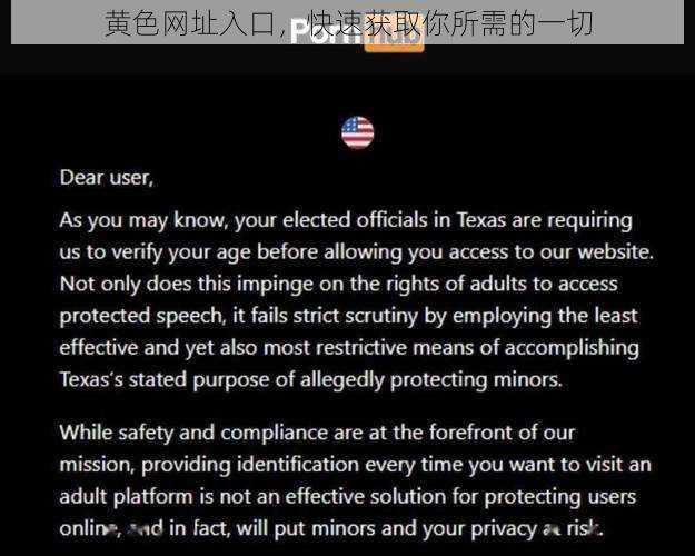 黄色网址入口，快速获取你所需的一切