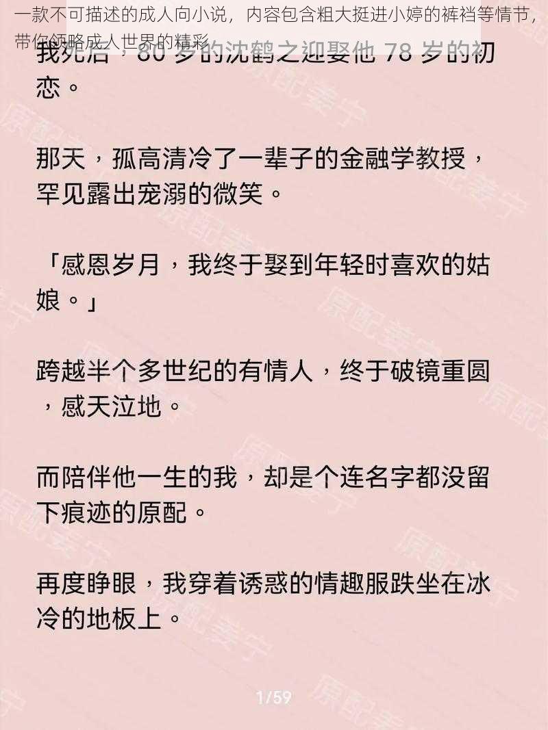 一款不可描述的成人向小说，内容包含粗大挺进小婷的裤裆等情节，带你领略成人世界的精彩