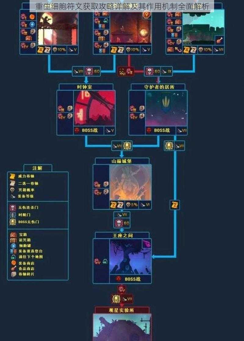 重生细胞符文获取攻略详解及其作用机制全面解析