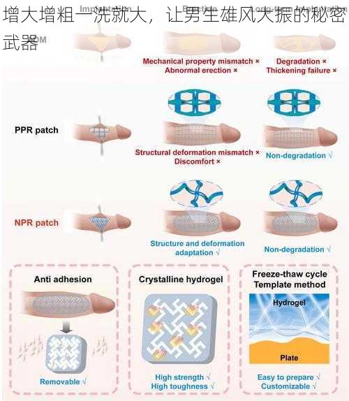 增大增粗一洗就大，让男生雄风大振的秘密武器