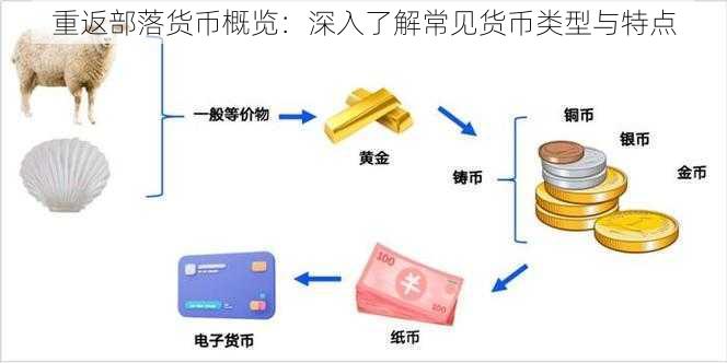 重返部落货币概览：深入了解常见货币类型与特点