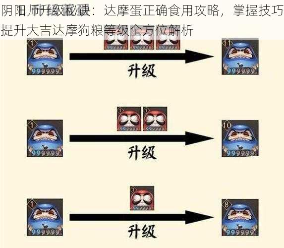 阴阳师升级秘诀：达摩蛋正确食用攻略，掌握技巧提升大吉达摩狗粮等级全方位解析