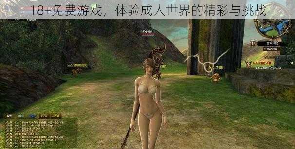 18+免费游戏，体验成人世界的精彩与挑战