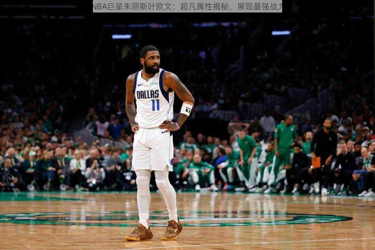 NBA巨星朱丽斯叶欧文：超凡属性揭秘，展现最强战力