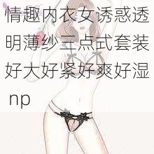 情趣内衣女诱惑透明薄纱三点式套装好大好紧好爽好湿 np