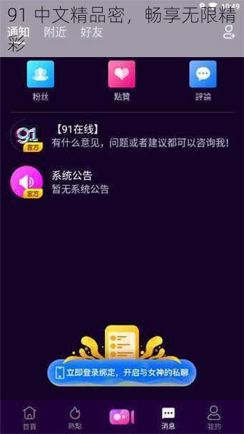 91 中文精品密，畅享无限精彩