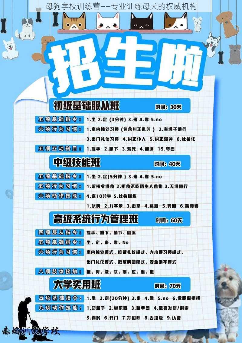 母狗学校训练营——专业训练母犬的权威机构