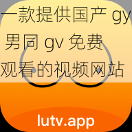 一款提供国产 gy 男同 gv 免费观看的视频网站