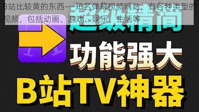 B站比较黄的东西——知名弹幕视频网站，有各种类型的视频，包括动画、游戏、娱乐、生活等