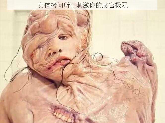 女体拷问所：刺激你的感官极限