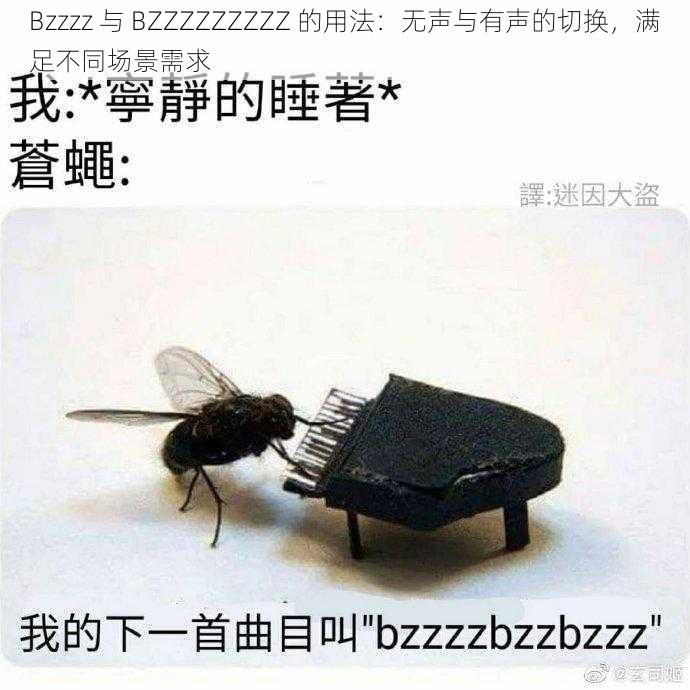 Bzzzz 与 BZZZZZZZZZ 的用法：无声与有声的切换，满足不同场景需求