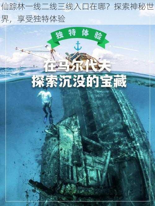 仙踪林一线二线三线入口在哪？探索神秘世界，享受独特体验