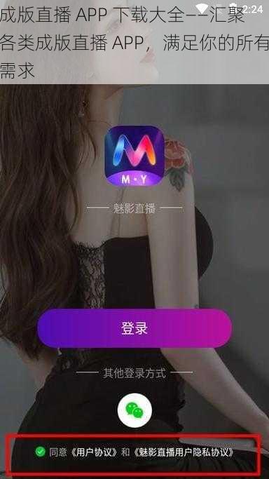 成版直播 APP 下载大全——汇聚各类成版直播 APP，满足你的所有需求