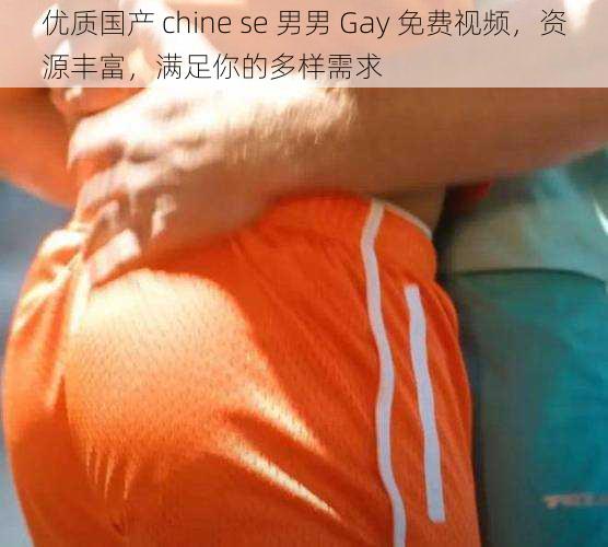 优质国产 chine se 男男 Gay 免费视频，资源丰富，满足你的多样需求