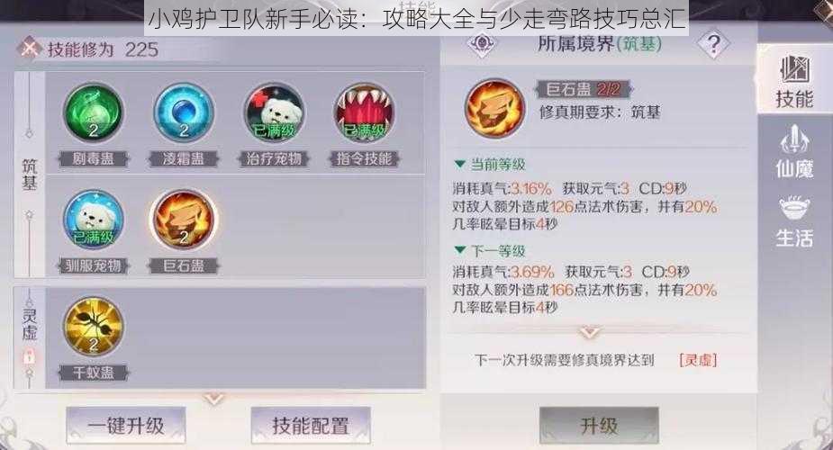 小鸡护卫队新手必读：攻略大全与少走弯路技巧总汇